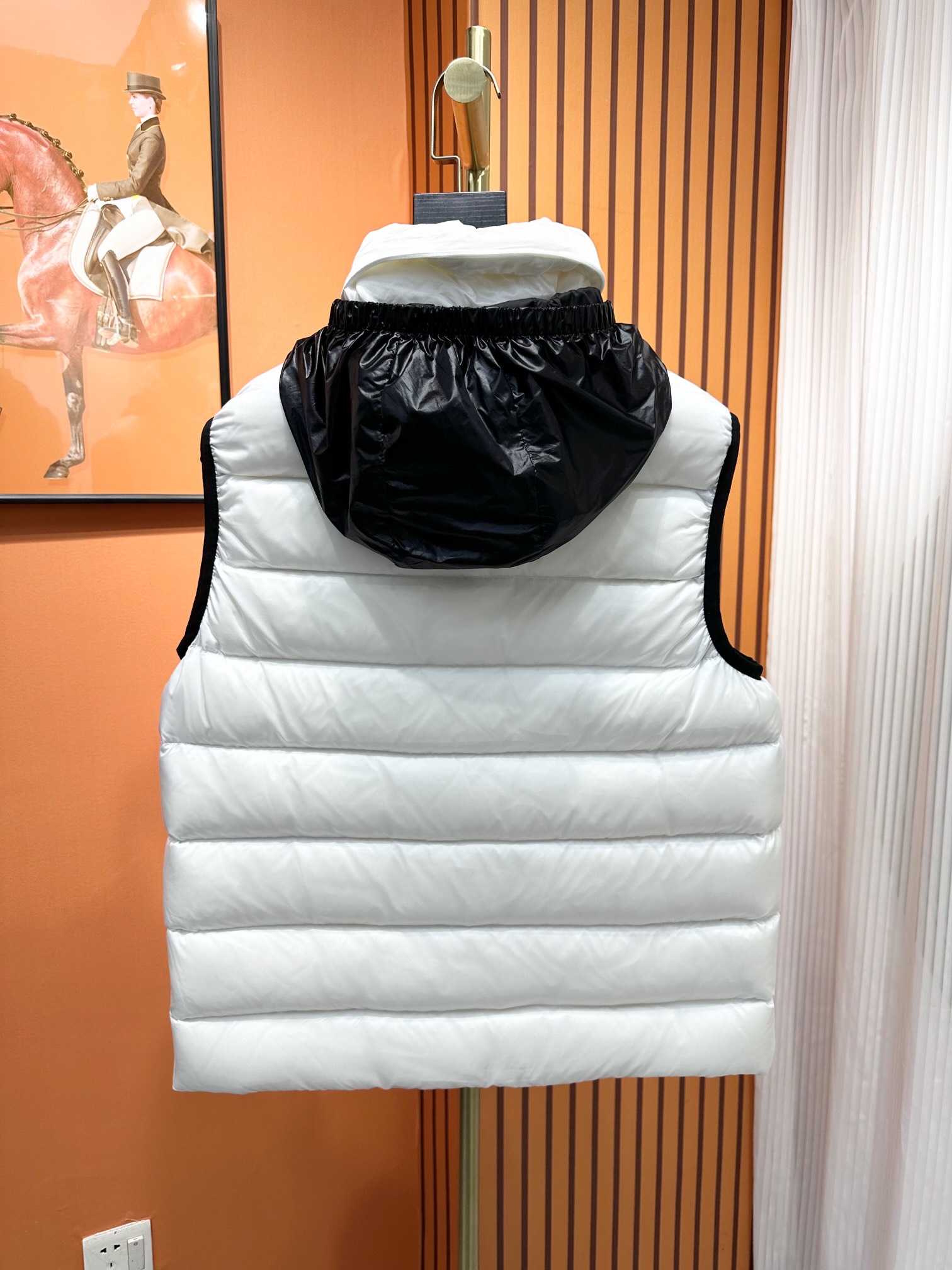 Moncler Down Jackets